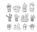 Cactus and succulent plants in flowerpots. Vector hand drawn outline black and white sketch illustration